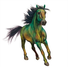 cheval, animal, étalon, coloré ,lumière bleu, isolé, noir, galop, courir, ferme, sauvage, chevalin, course, mammifère, amoureux des chevaux, arabe, crin, nature, puissance, brun, liberté, poney, andal