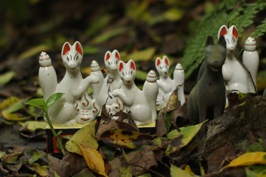 Sacred fox statuettes in an old japanese shinto shrine in Kamakura (Sasuke Inari)