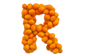 Letter R from oranges, 3D rendering