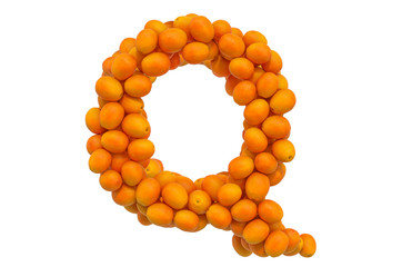 Letter Q from oranges, 3D rendering