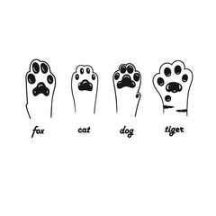 Animal paws isolated on white background.Pets, hello. Fox, dog, cat, tiger. Black and white Vector illustration.