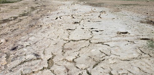 dried lakebed