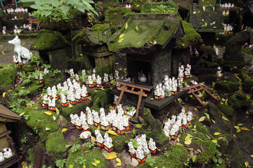 Sacred fox statuettes in an old japanese shinto shrine in Kamakura (Sasuke Inari)