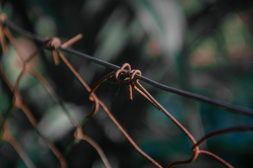 natureza, paisagens, cores, detalhes