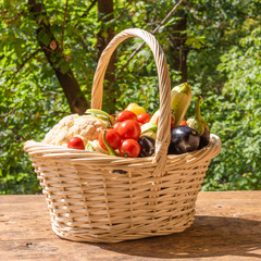 Fresh tasty vegetables in a wicker basket on a wooden table in a summer garden closeup