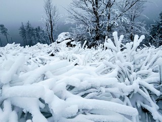 śnieg, zima