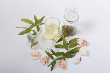 Fototapeta na wymiar Bodegón de aceite y finas hierbas. Cedro con aceite de oliva y hojas secas de orégano, en tres frascos de vidrio.