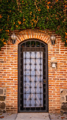Fototapeta na wymiar Brick wall with an ornate metal and glass door in the center and dense flowering plants hanging down over the bricks