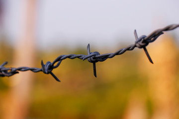 metal chain with spike for the fence for the safety and security purpose