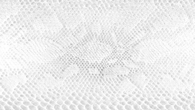 abstract parallax background texture of white snake skin python pattern stylish fashion animation