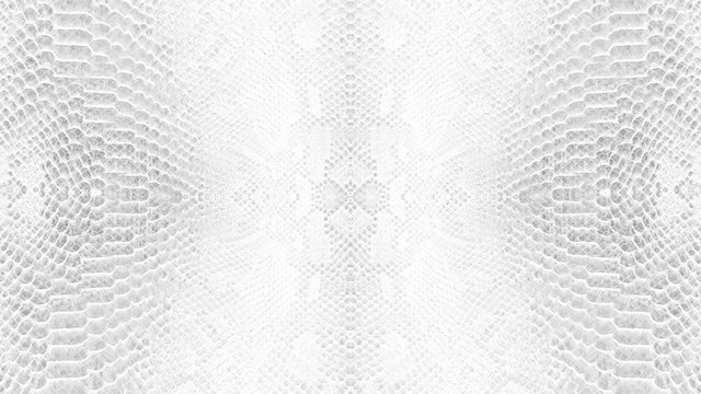abstract parallax background texture of white snake skin python pattern stylish fashion animation