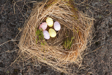 Colorful Easter Eggs in a nest in nature.