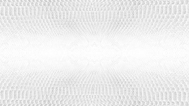 abstract parallax background texture of white snake skin python pattern stylish fashion animation