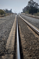 Fototapeta premium Railroad Tracks