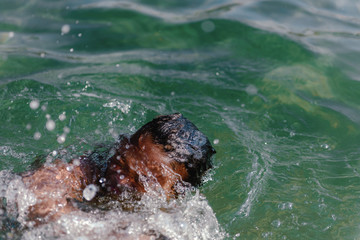 Obraz premium Little girl in danger drowning at the ocean.