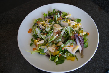 Gemischter Bio Salat Teller mit Hühnchenstreifen, Tomaten, Eier, Paprika, Feldsalast, Jogurth Dressing und Croutons, Produktbild