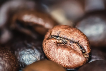 Close up of a coffee bean