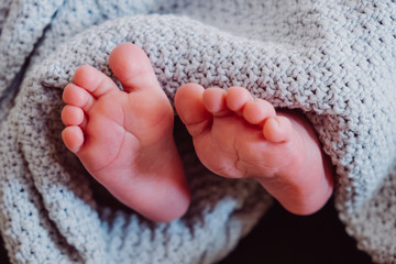 Little sweet feet of newborn baby wrapped in a blanket.