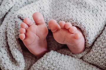 Little sweet feet of newborn baby wrapped in a blanket.