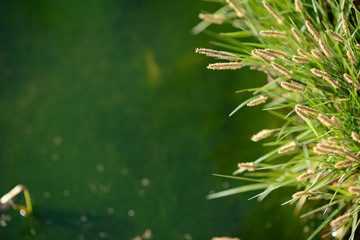 프리젠테이션 ppt 배경