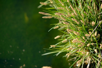 프리젠테이션 ppt 배경