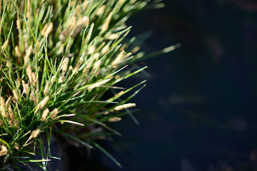 프리젠테이션 ppt 배경