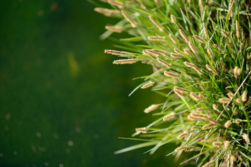 프리젠테이션 ppt 배경