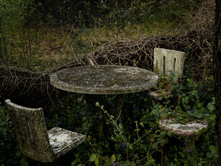 A table and three chairs after many years have been swallowed up by nature