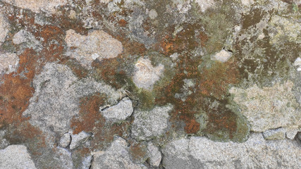 Old rough stone wall texture with brown and green lichen and moss growing on surface