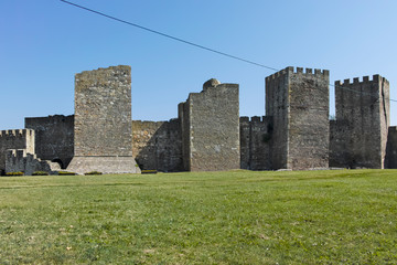 Fototapeta na wymiar Ruins of Smederevo Fortress, Serbia