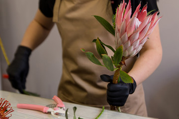 florist girl in sand apron at work creates a bouquet of proteas