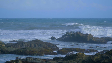 The wild and rocky coast of Shelter Cove
