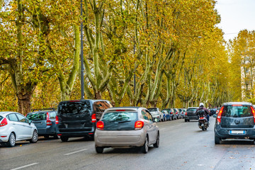 Rome, Italy. Parked cars and beautiful lush tall trees along sidewalk of city street. Small European vehicles on double lane/ dual carriage urban road. Motion blur of moving motorcars and motorcyclist