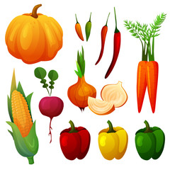 set of delicious vegetable vivid color