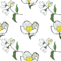 seamless background of painted twigs and Jasmine flowers,  isolated images, doodles	
