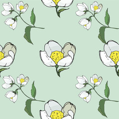 seamless background of painted twigs and Jasmine flowers,  isolated images, doodles	