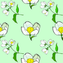 seamless background of painted twigs and Jasmine flowers, vector isolated images, doodles	