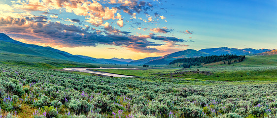 Lamar River Yellowstone