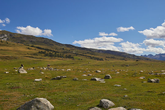 Paisaje