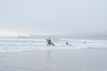 Fototapeta na wymiar surfing in the sea