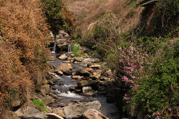 Jeju Olle Trail Route 7 : Beautiful Scenery of Jeju Island, Korea