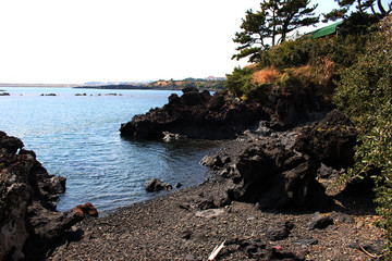 Jeju Olle Trail Route 7 : Beautiful Scenery of Jeju Island, Korea