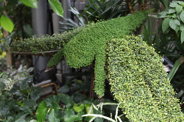  Orchid, flower, triple, Phalaenopsis, color, blooming, double stem, purple, white, pink, artificial, decorative, yellow, arrangement, butterfly, hanging flower, violet