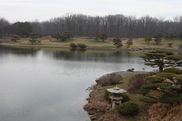 Orchid, flower, triple, Phalaenopsis, color, blooming, double stem, purple, white, pink, artificial, decorative, yellow, arrangement, butterfly, hanging flower, violet