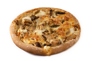 Hot pizza isolated on a white background.