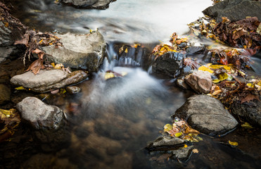 Rocks, leaves and flowing water in a small plunge pool in the Schuylkill River
