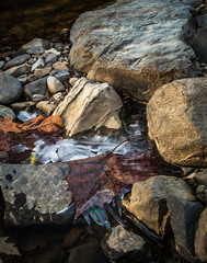 Rocks, leaves, ice and water create a still life in the Schuylkill River