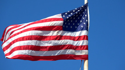 Obraz premium Flag of the United States of America waving in the wind
