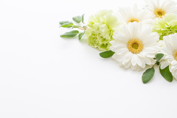 白い花　ガーベラの招待状