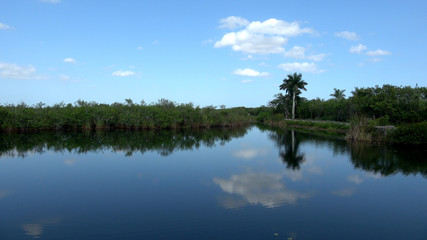 Romantic lake in the Everglades of South FLORIDA